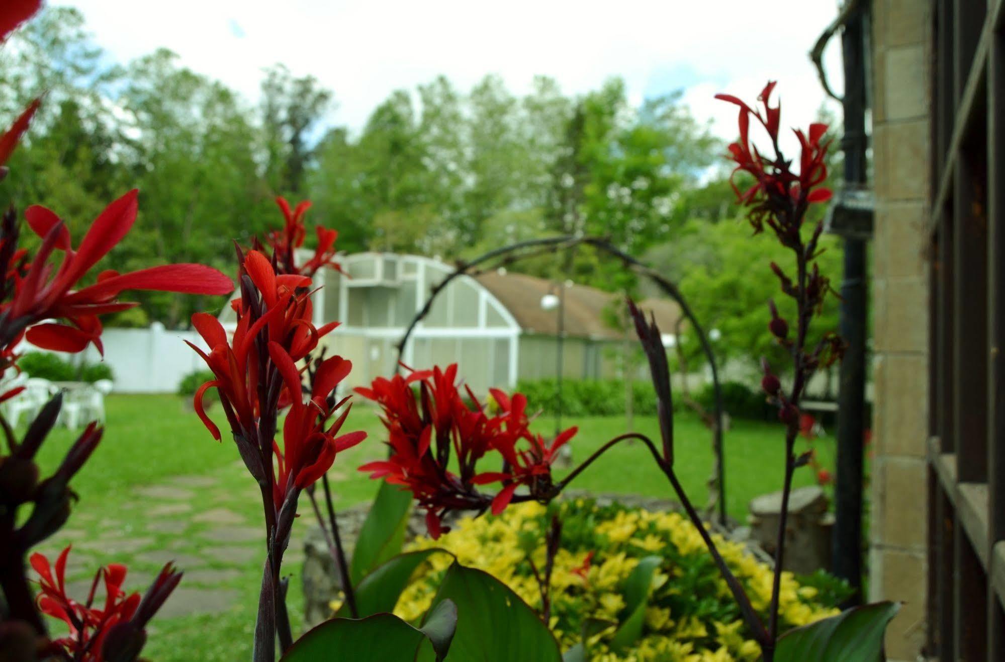 Hotel Termas De Liérganes Zewnętrze zdjęcie